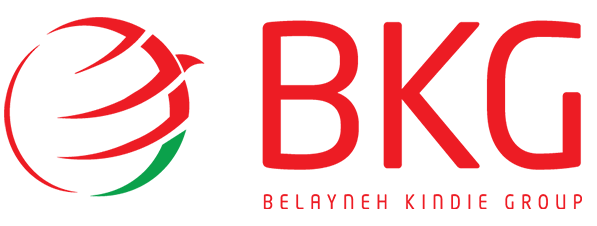 Belayneh Kinde Group logo