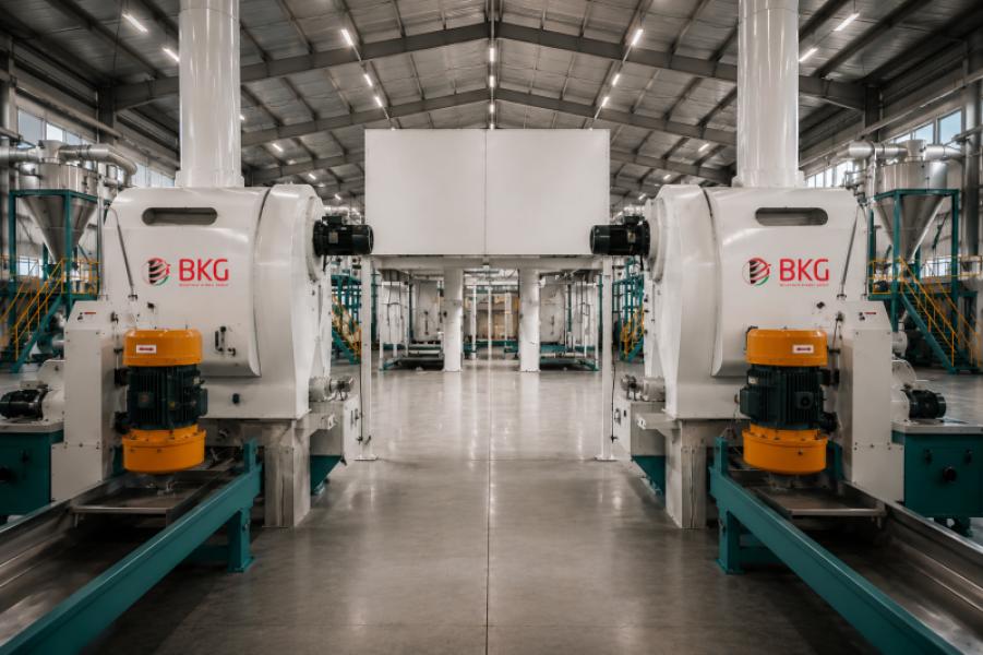 Sesame Processing Plant